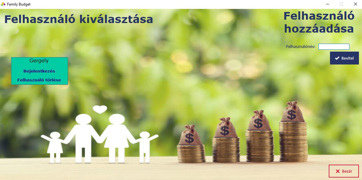 Family budget application dashboard 1