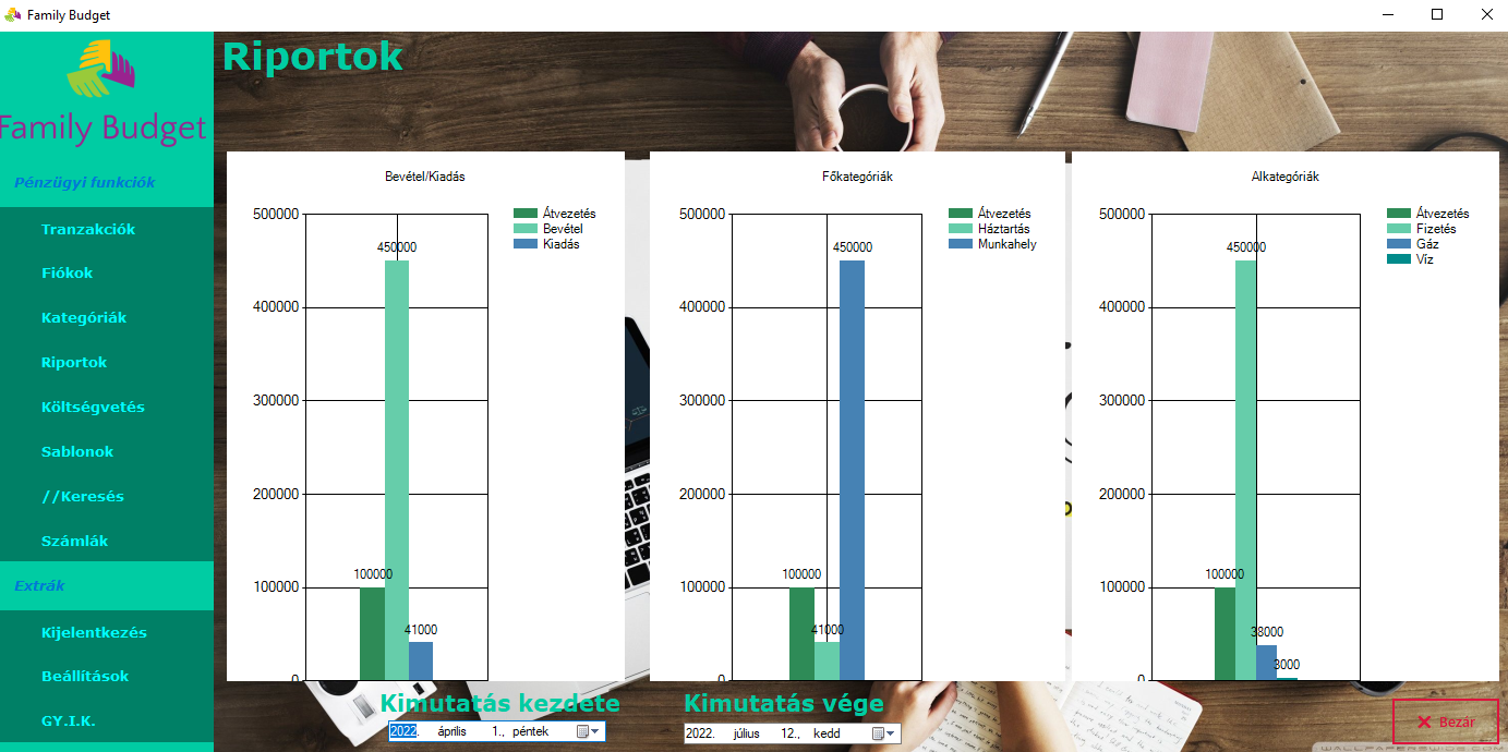 Family budget application dashboard 9